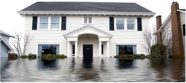 Florida Flood Insurance Quotes, Rates and Policies Online from Greene